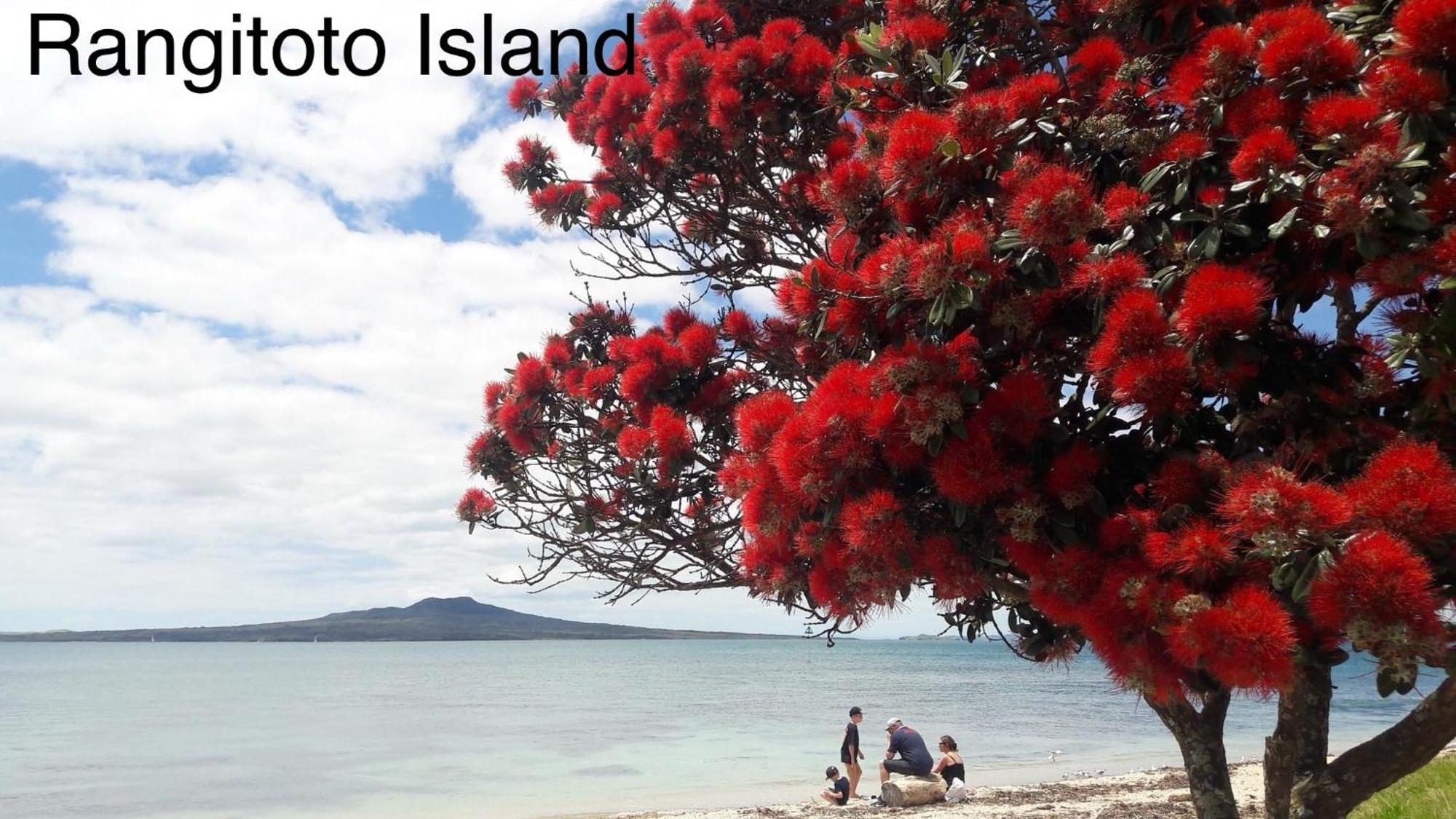 The Partchery Devonport Auckland Luaran gambar